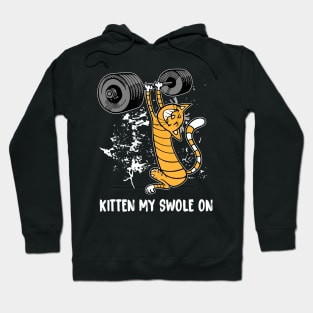 Funny Cat Kitten My Swole On Workout Cat Lover Retro Vintage Hoodie